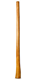 Gloss Finish Flared Didgeridoo (TW1202)